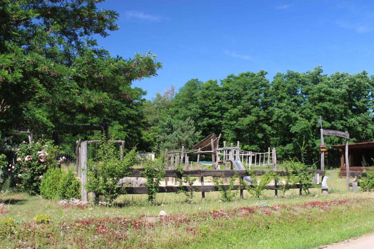 Вилла Torhaus Terra Nova Elsterheide Экстерьер фото