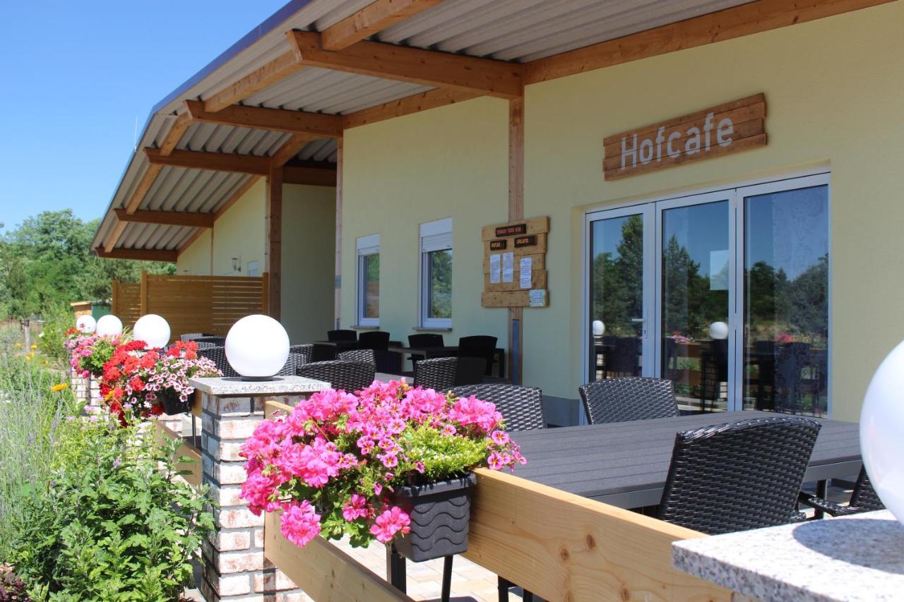 Вилла Torhaus Terra Nova Elsterheide Экстерьер фото